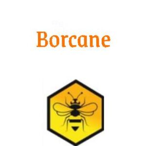 Borcane