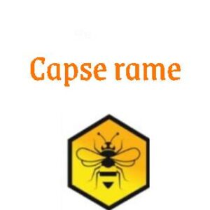 Capse rame