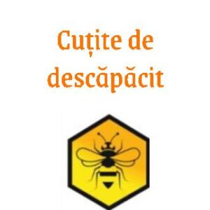 Cutite de descapacit