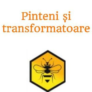 Pinteni si transformatoare