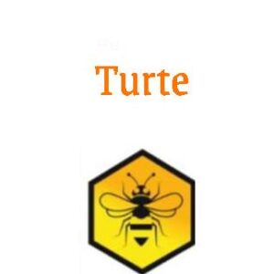 Turte